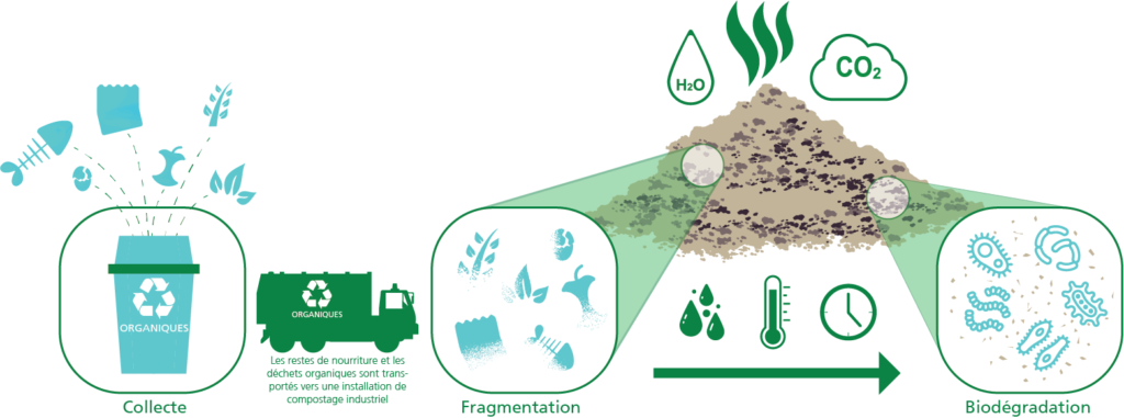 Bioplastiques 101. Le processus de biodégradation.